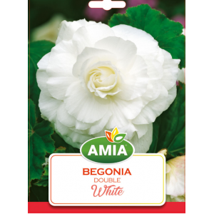 Bulbi Begonia Double White, calibru 5/6, 2 bucati, AMIA